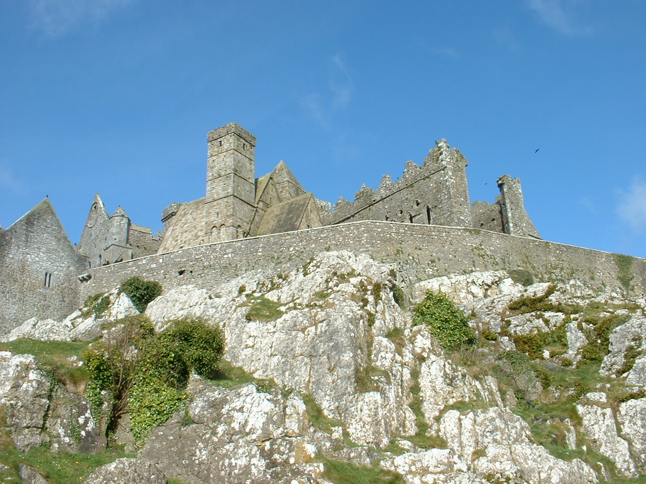 DSCF0002.JPG