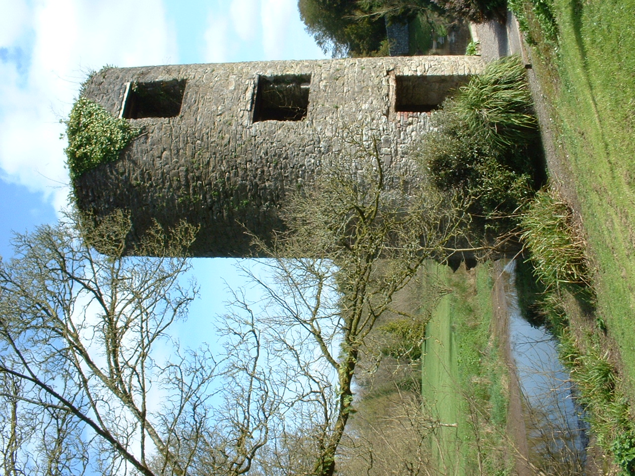 DSCF0009.JPG